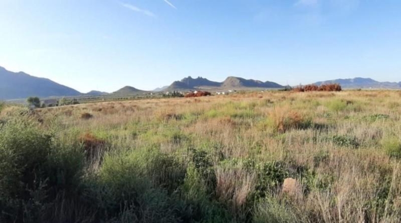 Murcia - Jumilla - 6913m2