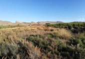 Terreno no urbanizable en venta en la España, Montealegre del Castillo, ref: TR333837 foto