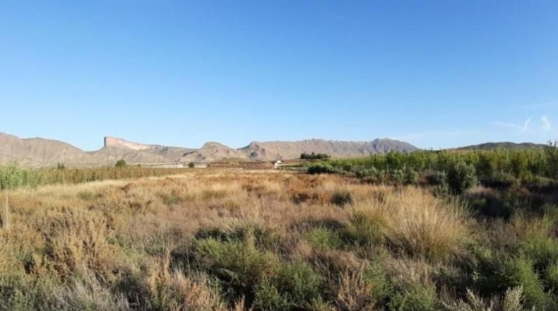 Murcia - Jumilla - 6913m2