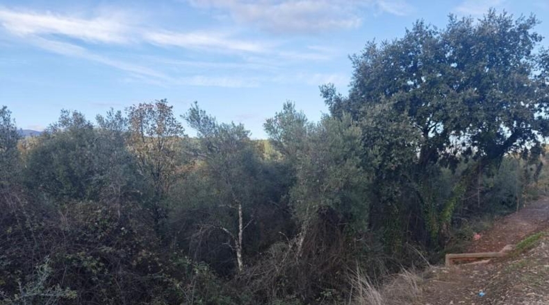 Caceres - Casar de Palomero - 7202m2