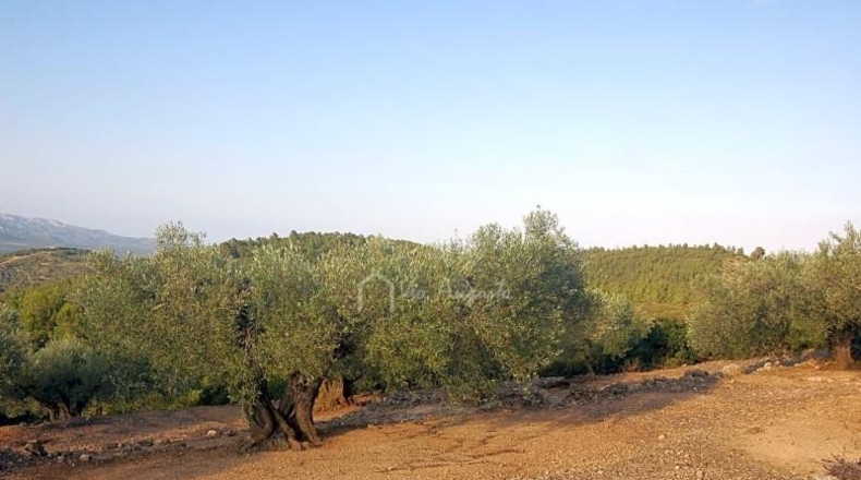 Tarragona - el Perelló - 3559m2