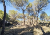 Non-developable land for sale on España, Villalgordo del Júcar, ref: TR120556 photo