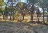 Non-developable land for sale on España, Villalgordo del Júcar, ref: TR120556 photo