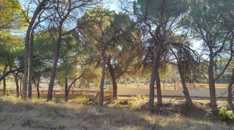 Albacete - Villalgordo del Júcar - 1878m2