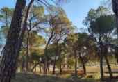 Non-developable land for sale on España, Villalgordo del Júcar, ref: TR120556 photo