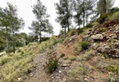 Parcela urbanizable en venta en la España, la Bisbal del Penedès, ref: TR121742 foto