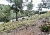 Parcela urbanizable en venta en la España, la Bisbal del Penedès, ref: TR121742 foto