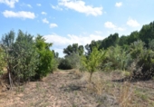 Chalet independiente con terreno en venta en la España, Mazaleón, ref: TR304084 foto