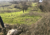 Detached villa with land for sale on España, Ponferrada, ref: TR297946 photo