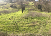 Detached villa with land for sale on España, Ponferrada, ref: TR297946 photo
