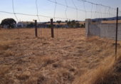 Terreno no urbanizable en venta en la España, Malpartida de Cáceres, ref: TR116296 foto