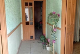 Foto 8