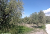 Terreno no urbanizable en venta en la España, Gérgal, ref: TR145879 foto