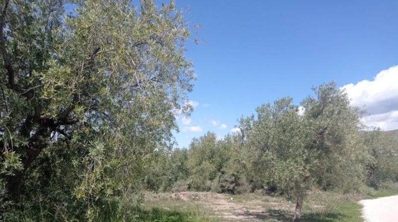 Almeria - Gérgal - 3900m2