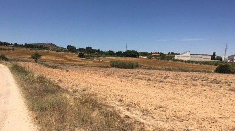 Albacete - Almansa - 12876m2