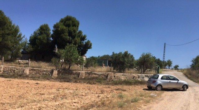 Albacete - Almansa - 12876m2