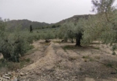 Terreno no urbanizable en venta en la España, Calasparra, ref: TR119439 foto