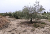 Terreno no urbanizable en venta en la España, Calasparra, ref: TR119439 foto