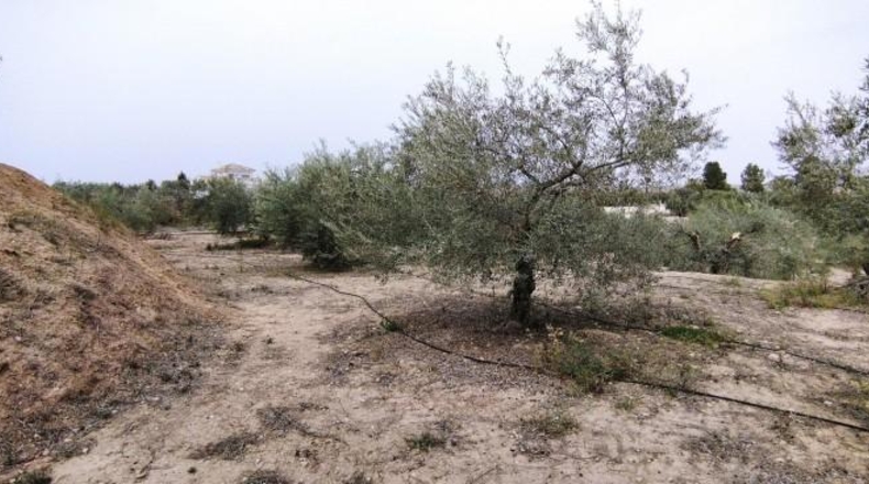Múrcia - Calasparra - 3912m2