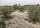 Terreno no urbanizable en venta en la España, Calasparra, ref: TR119439 foto