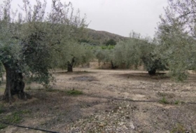 Foto 15