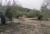 Terreno no urbanizable en venta en la España, Calasparra, ref: TR119439 foto