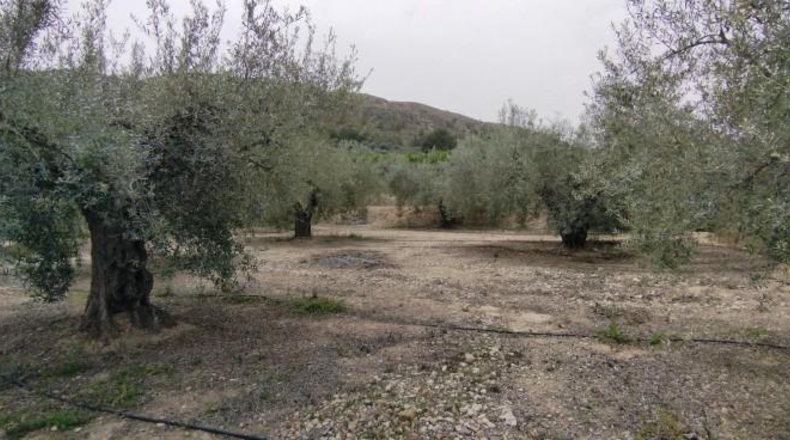Múrcia - Calasparra - 3912m2
