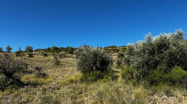 Comunidad de Madrid - Carabaña - 7848m2