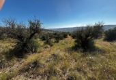 Terreno no urbanizable en venta en la España, Carabaña, ref: TR326732 foto