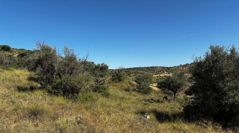 Comunidad de Madrid - Carabaña - 7848m2