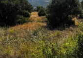 Terreno no urbanizable en venta en la España, Carabaña, ref: TR326732 foto