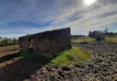 Terreno no urbanizable en venta en la España, Botija, ref: TR314963 foto