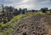 Terreno no urbanizable en venta en la España, Botija, ref: TR314963 foto