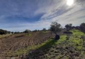 Terreno no urbanizable en venta en la España, Botija, ref: TR314963 foto