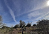 Terreno no urbanizable en venta en la España, Botija, ref: TR314963 foto