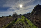 Terreno no urbanizable en venta en la España, Botija, ref: TR314963 foto
