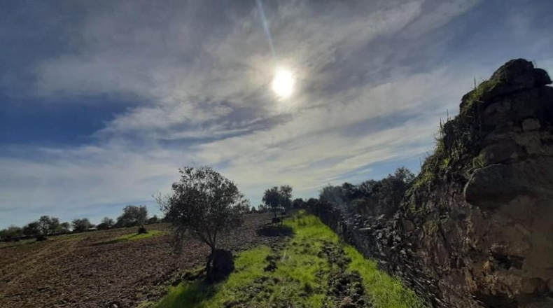 Cáceres - Botija - 11000m2