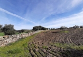Terreno no urbanizable en venta en la España, Botija, ref: TR314963 foto