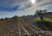 Terreno no urbanizable en venta en la España, Botija, ref: TR314963 foto