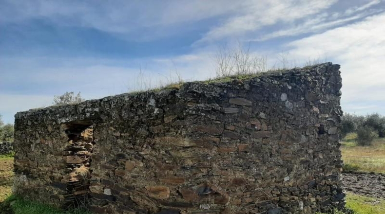 Cáceres - Botija - 11000m2