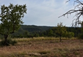 Xalet independent amb terreny en venda a la España, Calaceit, ref.: TR339429 foto
