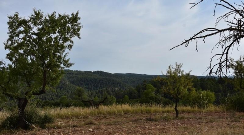 Teruel - La Fresneda - 12m2