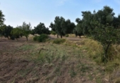 Xalet independent amb terreny en venda a la España, Calaceit, ref.: TR339429 foto