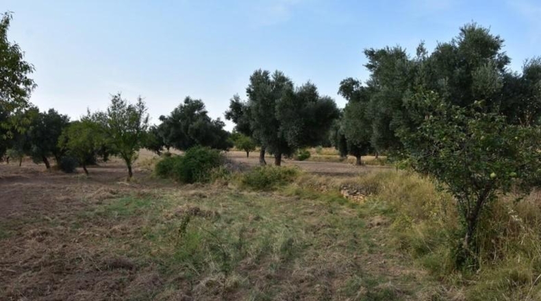 Teruel - La Fresneda - 12m2