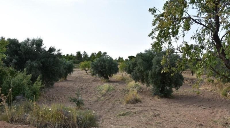 Teruel - La Fresneda - 12m2