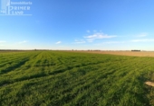 Non-developable land for sale on España, Tomelloso, ref: TR403534 photo
