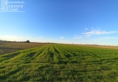 Non-developable land for sale on España, Tomelloso, ref: TR403534 photo