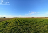 Non-developable land for sale on España, Tomelloso, ref: TR403534 photo