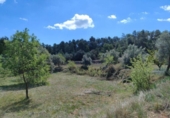 Chalet independiente con terreno en venta en la España, Calaceite, ref: TR304450 foto