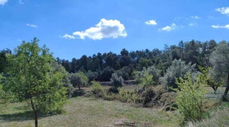 Álava - Fresneda - 19771m2